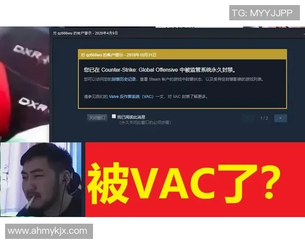 探索BLG在CSGO与S15LOL中的灵活战术与团队协作能力