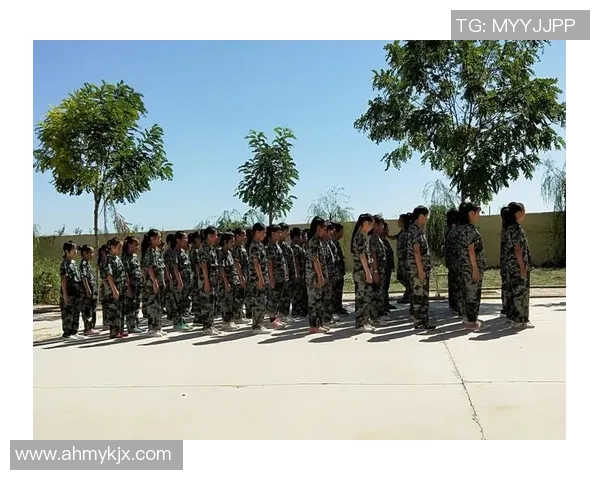 电竞比分深度对话王敏探索和平精英背后的成长与挑战人生